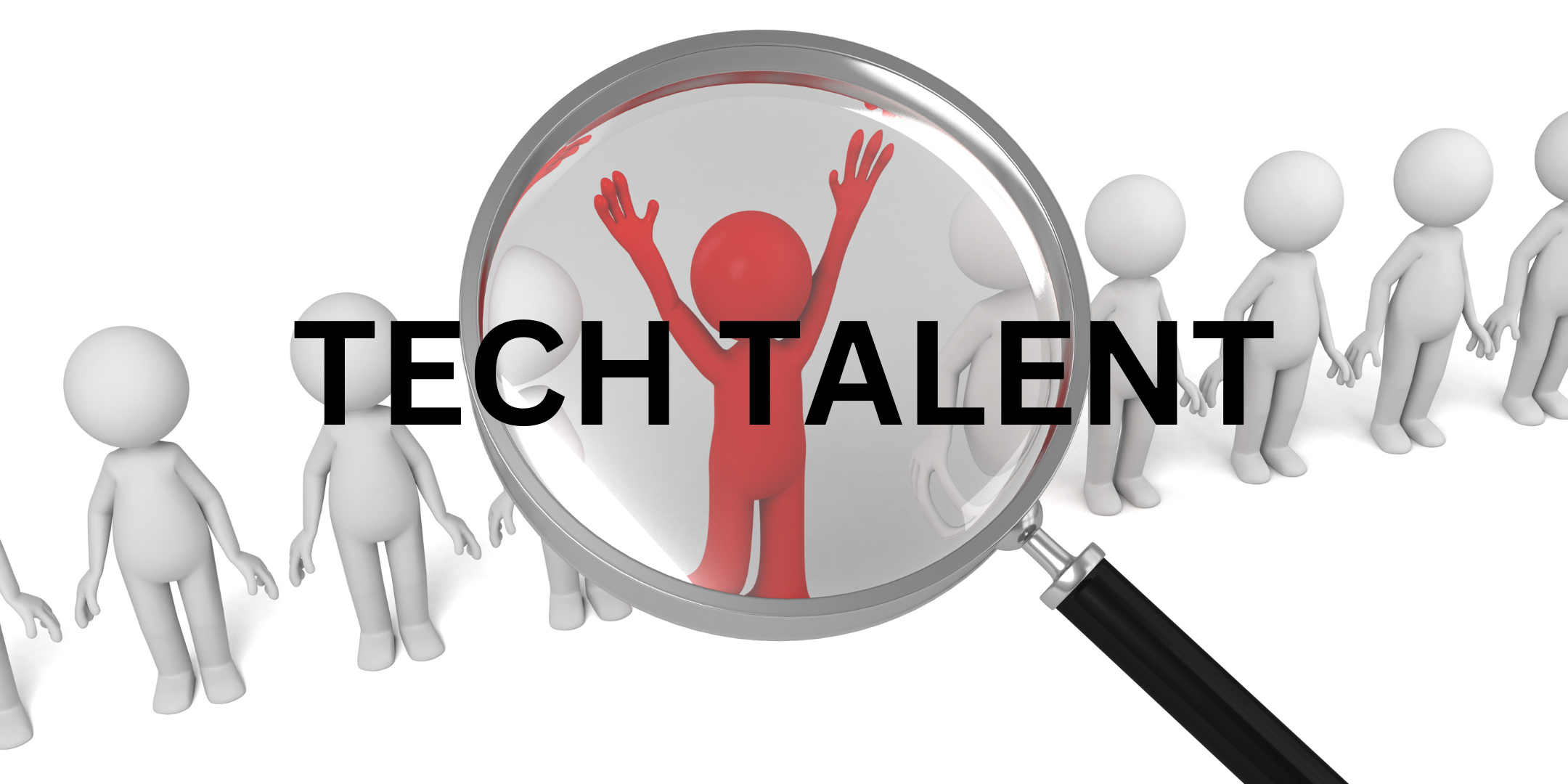 Get to know Tech talent
